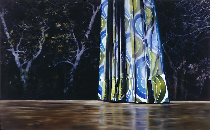 Untitled #15 2008 Oil on canvas 51.2 x 82.7 inches...