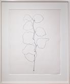 Ellsworth Kelly (1923-2015) Briar, 1960 Graphite o...