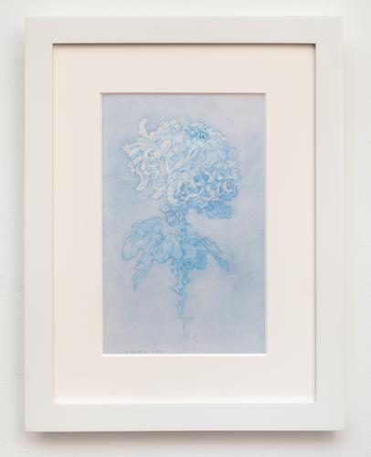 Piet Mondrian (1872-1944) Chrysanthemum circa 1920...