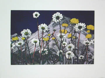 Flowers 2006 Etching and aquatint on Zerkall-B&uum...